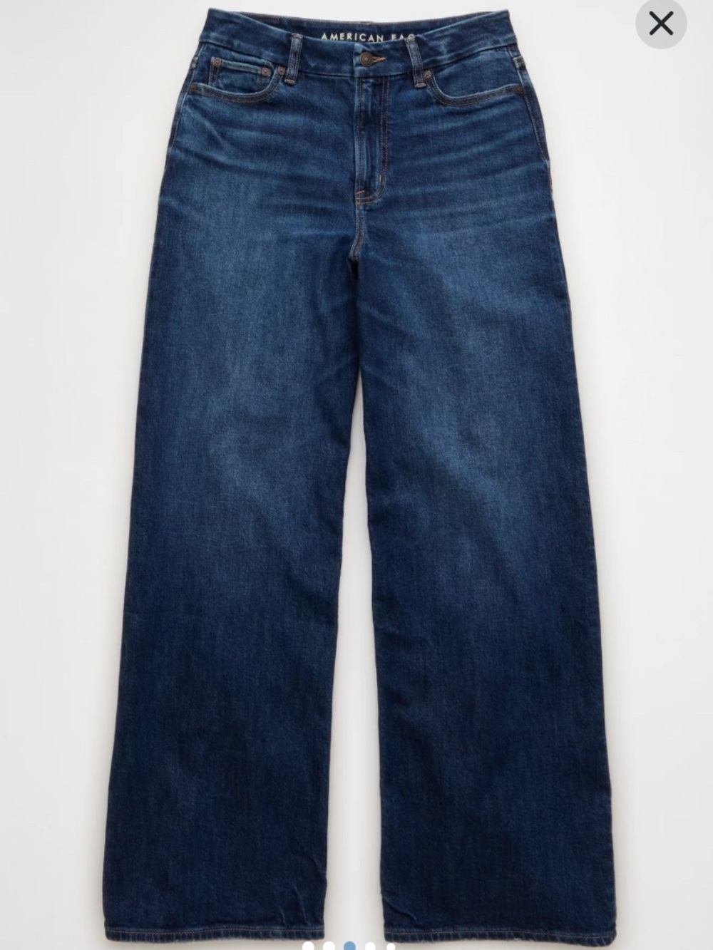 American Eagle Curvy Super High-Waisted Baggy Wide-Leg Jean Sz 2